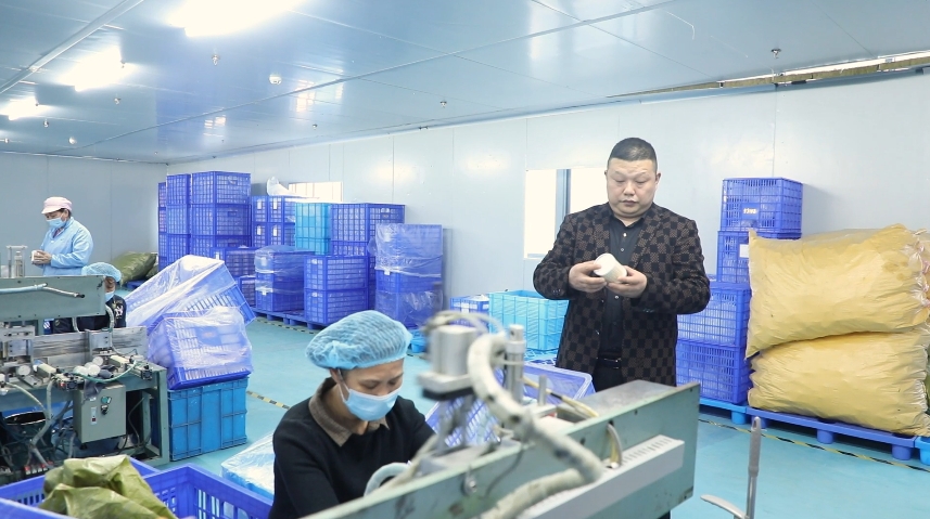 江華 湘商回歸潮涌，家居制造報桑梓